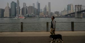 čovjek šeće svog psa tijekom loše kvalitete zraka