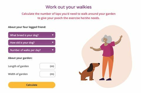 aplikacija za hodanje pasa u zaključavanju