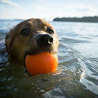 Planet Dog Orbee-Tuff Squeak, gotovo neuništiva igračka za pseće kuglice za agresivne žvake, napravljena u SAD-u, srednje 3-inčna, narančasta
