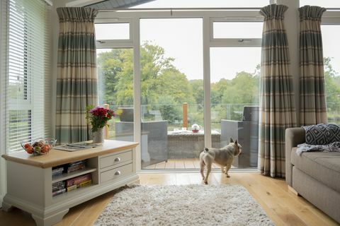 Vaš pas bi mogao pregledati kuće za odmor u Devonu
