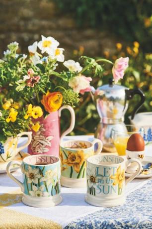 emma bridgewater proljetna kolekcija