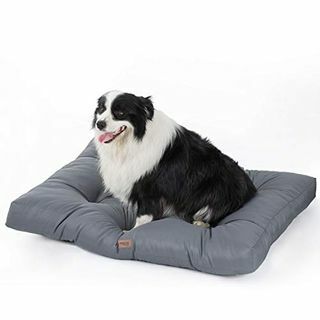 Amazon vodootporni krevet za pse 