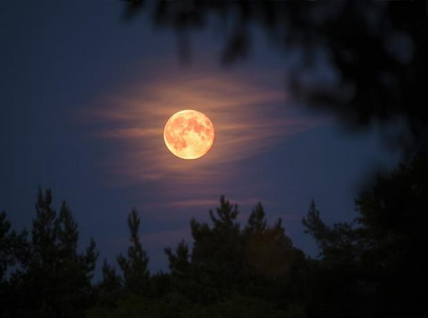 Što je Hunter's Moon? Zgodna priča iza listopadskog punog mjeseca