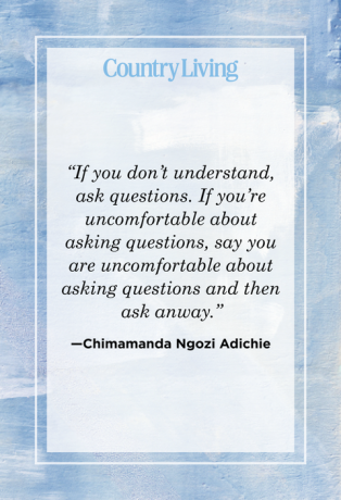 chimamanda ngozi adichie citat