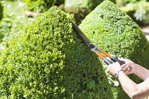 Dobro održavan vrt može povećati vrijednost vaše imovine za 2.000 funti