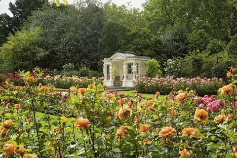 vrtovi buckinghamske palače otkriveni u novoj knjizi