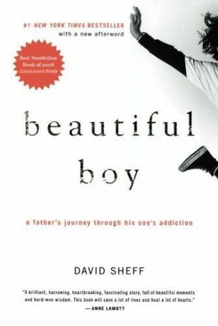 Prekrasan dječak: Očevo putovanje kroz ovisnosti svoga sina
