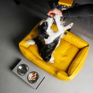 ŽUTI krevet za pse sa skidivom navlakom svijetlo gnijezdo za pse MUSTARD XS - prostirka veličine Xxl za psa, Poklon za vlasnike pasa