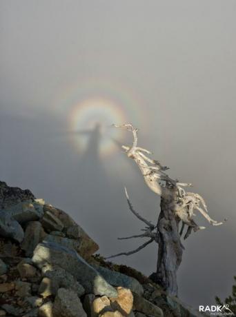 Slomljeni spektar viđen iznad nacionalnog parka Mount Rainier