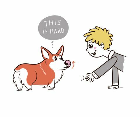 što stvarno znači ponašanje vašeg psa