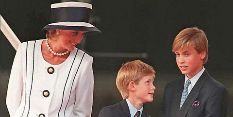 Princ William i princ Harry govore o svom žaljenju zbog "žurbe" posljednjeg poziva s princezom Dianom