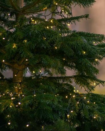 svjetla za božićno drvce tekući troškovi