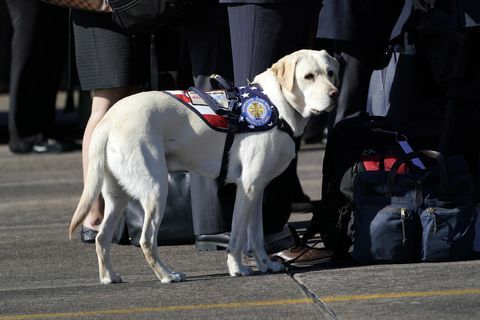 Ceremonija polaska održana je kao tijelo predsjednika Busha doletjelo je u Washington DC