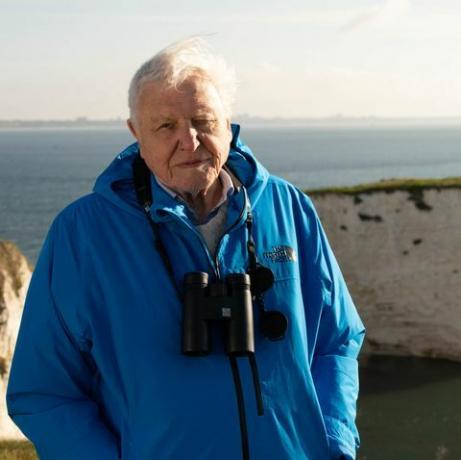 divlji otoci, 12. veljače 2023., naši dragocjeni otoci, 1, sir david attenborough, sir david attenborough predstavlja seriju divlji otoci u zoru na starim harryjevim stijenama, Dorset, uk 2022., srebrni filmovi, chris howard