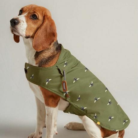 Maslinasto zeleni voštani kaput za pse
