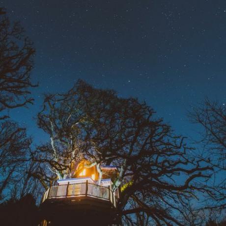 Drveće treetopsa - Devon - noć - Nadstrešnica i zvijezde