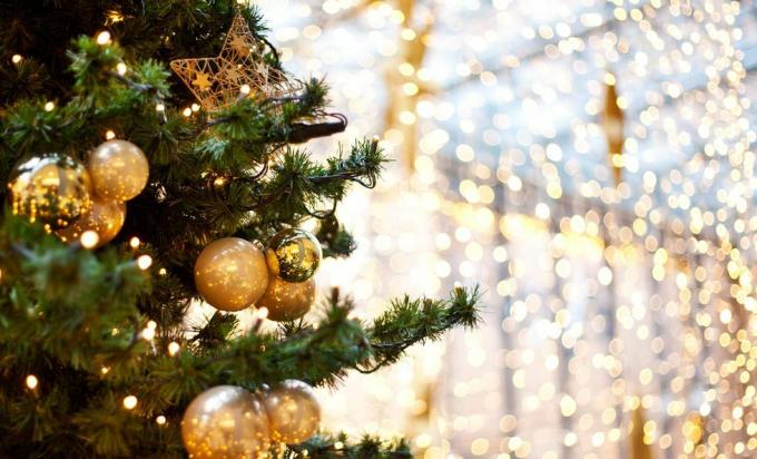 ošišano božićno drvce s ukrasima noću