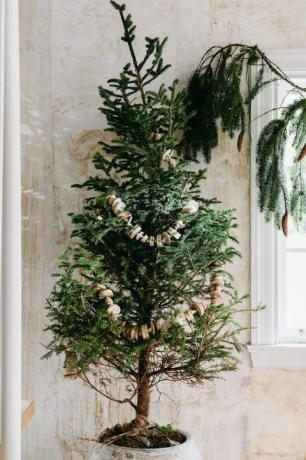 jednostavno božićno drvce s vijencem od drvenih krugova