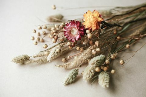 suho cvijeće i trava od lana i slame preko bež pozadine grozd suhog cvijeća, trendi ukrasi