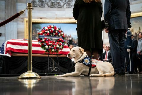 Predsjednik George H.W. Bush laže u saveznoj državi SAD-a