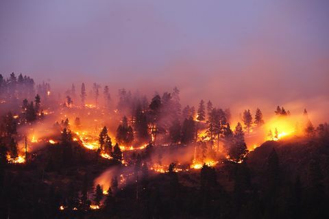 Šumski požar koji gori planinu u Montani.