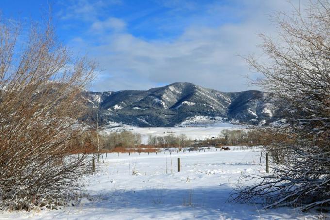 zimski pogled na planine Bridger viđene s bozeman montana fotografija dona i melinde crawforducguniversal images group via getty images