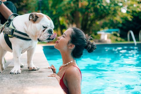 djevojka koja ljubi psa dok je u bazenu