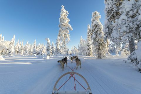 Prvi virtualni odmor u Laponiji