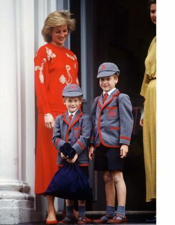 Princ Harry, princ William u školi