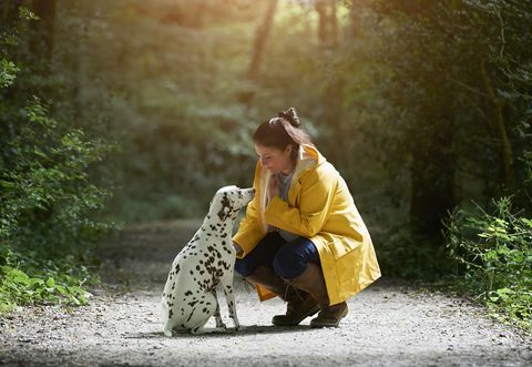 Žena s dalmatinskim psom na šumskom putu.