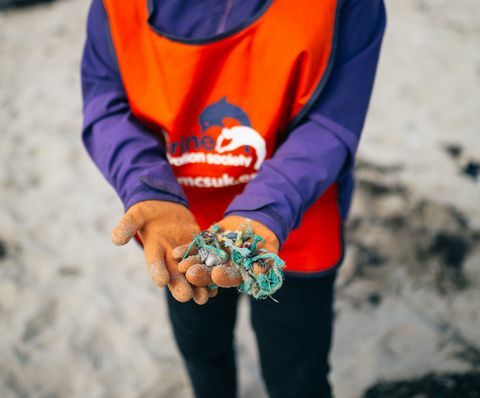 Porthtowan Beach Clean 2015 - pronađeno leglo - Društvo za očuvanje mora
