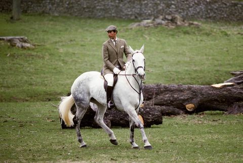 Princ Charles, Prince of Wales jahao je na Englezima