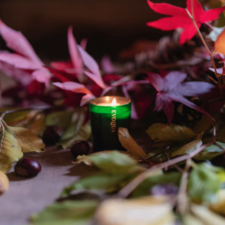 Vetiver, jasmin i cedrovina - mirisna svijeća