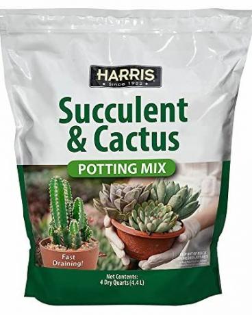 Harris Premium mješavina za sukulente i kaktuse