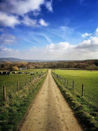 perspektiva proljetne šljunčane staze kroz poljoprivredno zemljište