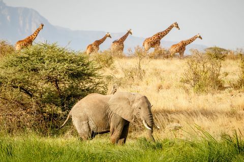 Najrobi, Kenija