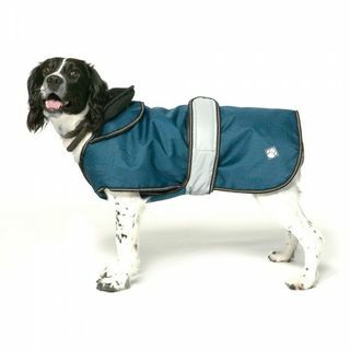 Plava 2-u-1 Ultimate Dog Coat